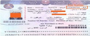 saudi visa number