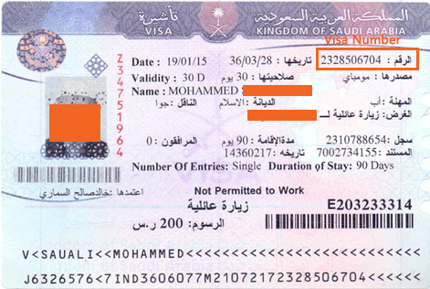 visa number