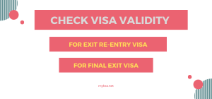 exit re entry visa status