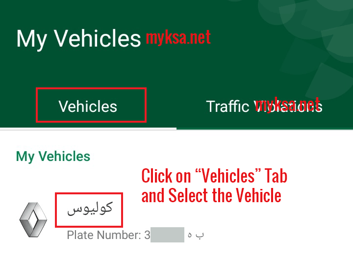 select the vehicle for istimara renewal 