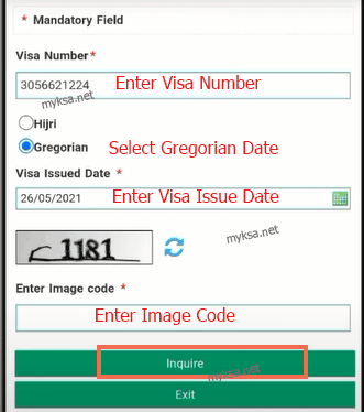 enter visa number visa issue date and image code