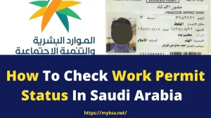 check work permit issued or pending in ministry of labor portal saudi arabia