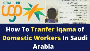transfer of domestic workers iqama - featured image